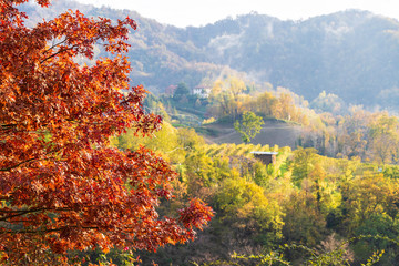 The autumn in the Trevigiani hills
