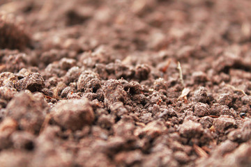 Dry soil in the garden. Close-up. Blurred background around the edges. Texture.