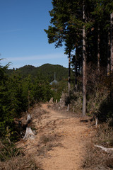 高野山 秋の紅葉 女人道巡り 