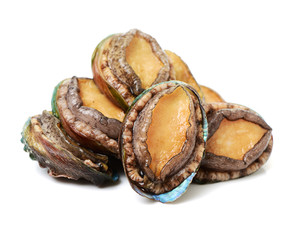 Fototapeta na wymiar Raw abalones on the white background 