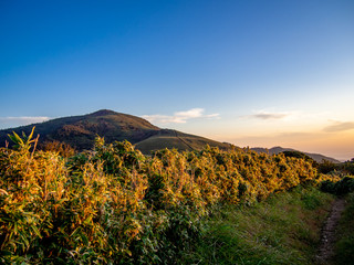 【静岡県伊豆半島】伊豆山稜線歩道からの夕景【秋・だるま山周辺】