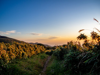 【静岡県伊豆半島】伊豆山稜線歩道からの夕景【秋・だるま山周辺】