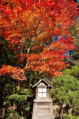 Fototapeta na wymiar Autumn view of the landmark Portland Japanese Garden in Portland, Oregon