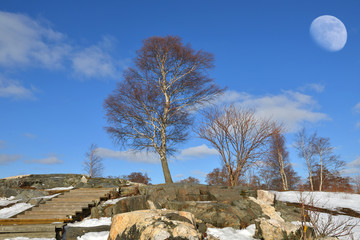 Fototapete bei efototapeten.de bestellen   