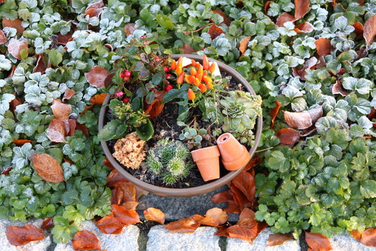 Grabschmuck in Einpflanzung im Herbst
