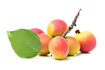 ripe apricot with leaves isolated on white background