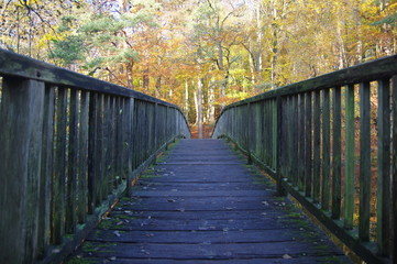 Obraz premium Holzbrücke