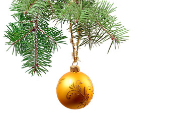 Christmas bauble hanged on christmas tree