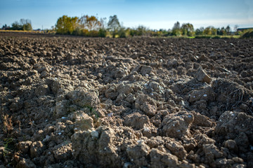 Terra agricola arata pronta per la semina del contadino, agricoltura biologica, ettari di campagna
