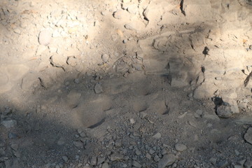 moutain forest green tree stone travel thai