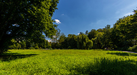 Obraz premium Park next to the baroque castle in Pszczyna, Poland