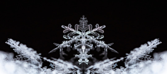 natural snowflakes on snow, winter