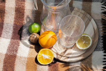 Summer picnic concept. Fruits and glassware
