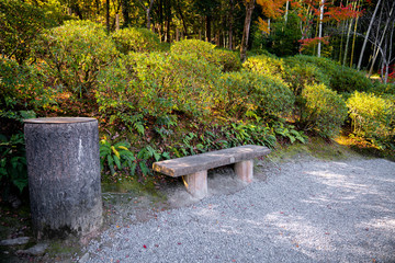 Fototapeta na wymiar bench in the park