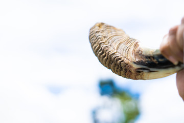 Jewish man in Tallit blowing the Shofar (horn) of Rosh Hashanah (New Year Jew) and Yom Kippur festival.Yom kippur Religious and Holidays symbol concept.