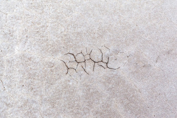 Gray dry soil or cracked ground texture background. Takyr