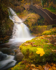 Fototapeta na wymiar Waterfall cascade in a park in the city of Trondheim. Tourist attraction. Golden Norway in autumn.