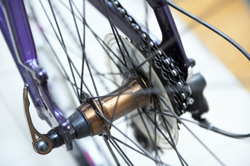 Fototapeta premium Bicycles Rear Drive System - closeup flywheel and transmission
