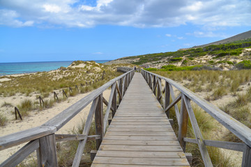 Fototapeta na wymiar Weg durch Dünen bei Cala Mesquida / Insel Mallorca