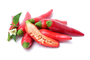 Red chili peppers on white background