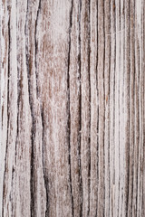 Close up of pattern of old wood brown, white and gray burned planks of pine tree. texture and background.