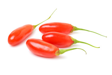 Goji berry isolated on white background