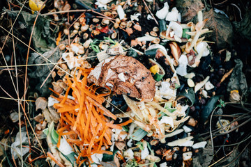 high-angle view of organic compost heap