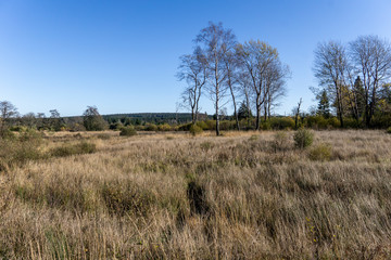 Wandern im hohen Venn