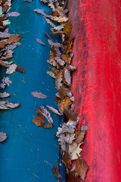 Red anb blue canoes and leaves