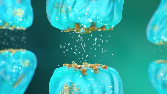 Synaptic transmission, human nervous system. Brain synapses. Transmission synapse, signals, impulses in the brain, information transfer at the cellular or atomic level. 4k 3D animation