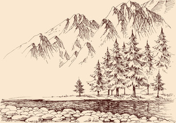 Obraz premium River flow in the mountains, pine trees forest hand drawing