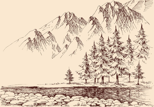 River flow in the mountains, pine trees forest hand drawing