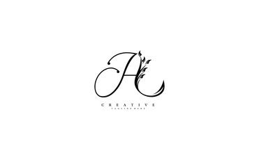 Luxury Logo template flourishes letter A