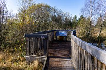 Wandern im hohen Venn