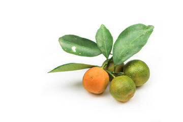 Cumquat or Kumquat fruit (Thai Fruit) with isolated on white background