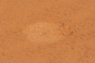 Fototapeta na wymiar A close up of a dromedary camel (Camelus dromedarius) footprint or track across the desert sand in the United Arab Emirates.