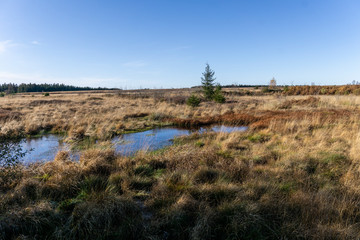 Wandern im hohen Venn