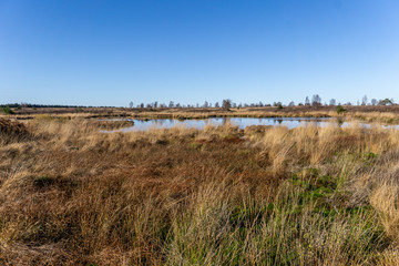 Wandern im hohen Venn
