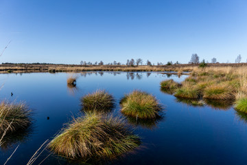 Wandern im hohen Venn