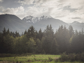 Misty mountains