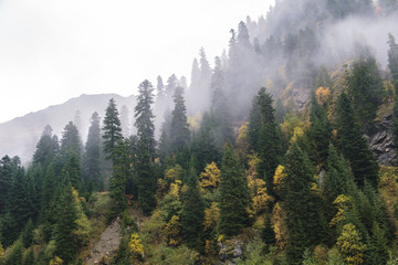 morning in the mountains