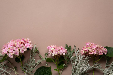 Small blooming pink hydrangea background