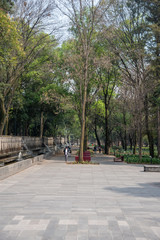 Paisaje