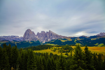 Fototapeta premium Forest Mountains