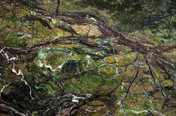 Green Abstract Marble Texture with Brown And White Fractals