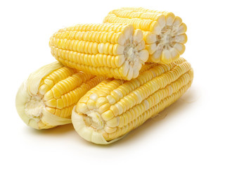 Corn on white background 