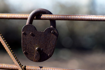 Rusty padlock. Old rusty lock with a key on a nature background, closeup