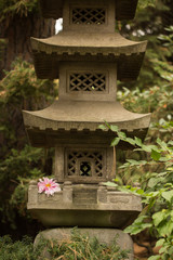 chinese lantern in japanese garden