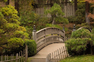 Fototapeta na wymiar bridge in garden