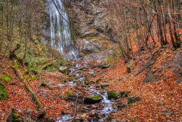 waterfall with creek with fallen leaves all around